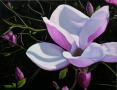 Magdalena_Laskowska,_Duża magnolia,_89x116_cm,_olej,_2014.jpg